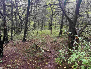 0 15th St unit NOC6332055, Blakesburg, IA 52536 - photo 3