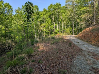 00 Cherokee Mine Rd, Franklin, NC 28734 - photo 5