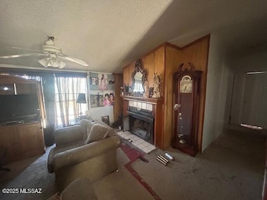 14303 W Rolina Ln, Tucson, AZ 85736 - photo 5