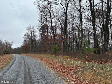 0 Doman Ridge Rd unit WVHS2007072, Romney, WV 26757 - photo 2