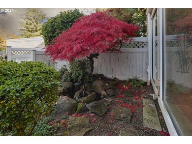 Water Feature