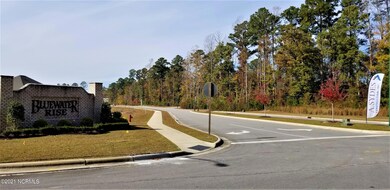 1034 Mackerel Manor, New Bern, NC 28562 - photo 3