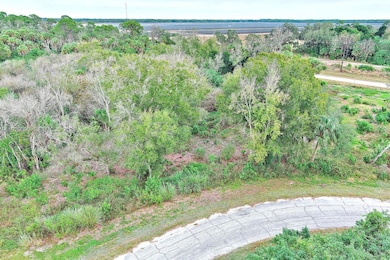 173 Carousel Ave, Fort Denaud, FL 33935 - photo 3