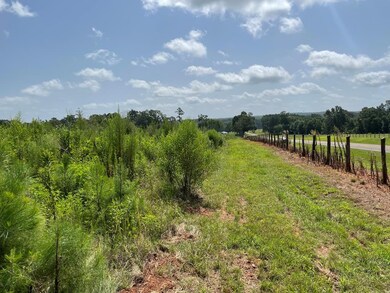 76.68 ac Fm 343, Nacogdoches, TX 75964 - photo 7