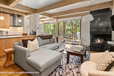 1034 E Cooper Ave unit 24A, Aspen, CO 81611 - photo 3