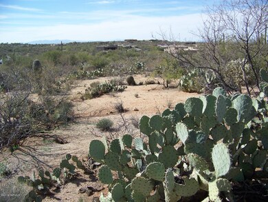 lot with prickly pear cactus