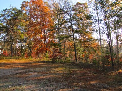 View of Lot From Road