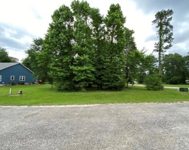 4 Lily Cove, Huntsville, TX 77340 - photo 4