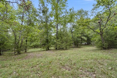 Lots 27&28 Wildflower, Kimberling City, MO 65686 - photo 5