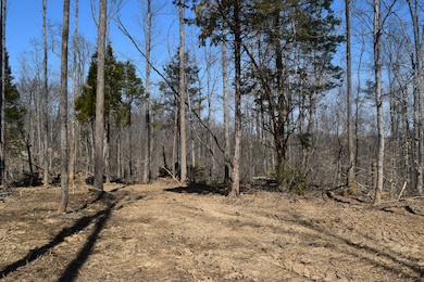 000000 Sawmill Rd, English, IN 47118 - photo 4