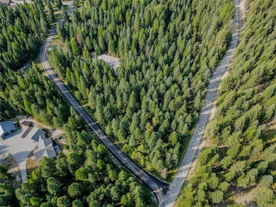 TBD Swede Gulch Dr, Libby, MT 59923 - photo 2