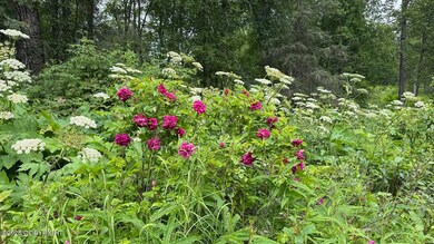 IMG_3392