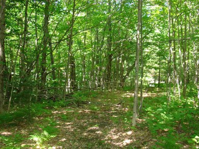 15 Taylor Ln, Whitingham, VT 05361 - photo 4