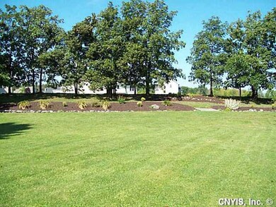 Yard/Garden