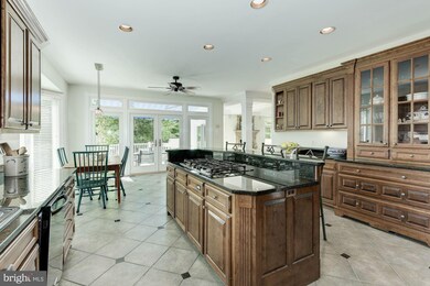 9069 Tower House Place, Alexandria, VA 22308 - photo 6