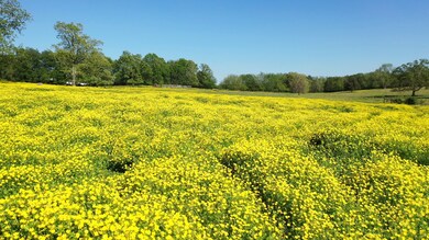 0 Sulphur Springs Rd unit 2147493, Shelbyville, TN 37160 - photo 4