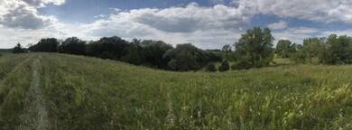 IMG_2721