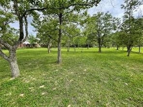 TBD Burton Cemetery Rd, Waller, TX 77484 - photo 7