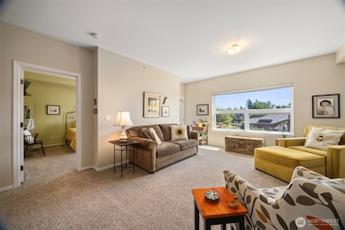 516 Darby Dr unit 207, Bellingham, WA 98226 - photo 5