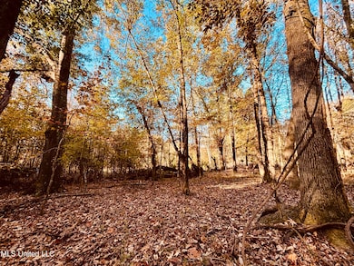 0 Mayer Rd, Bentonia, MS 39040 - photo 2