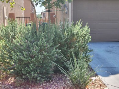 Front ~ Mature Desert Landscaping With Water Drip