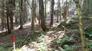 336 Beaver Pond Hill Rd, Richmond, VT 05477 - photo 4