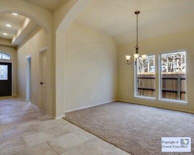 8710 White Crown, San Antonio, TX 78254 - photo 7