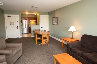 242/244 Qtr I Jackson Gore Inn, Ludlow, VT 05149 - photo 4