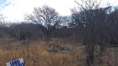 00 Grandview Dr, Lake Brownwood, TX 76801 - photo 6