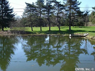 Other Pond