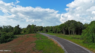 3 Tyro Branch Cove, Senatobia, MS 38668 - photo 3