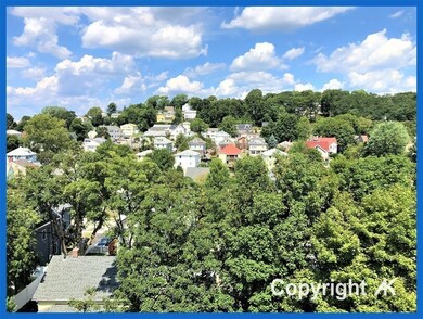 32 Whites Ave unit F8802, Watertown, MA 02472 - photo 4