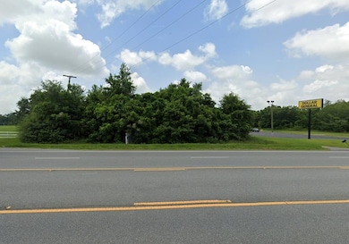 2975 U S 84, Cairo, GA - photo 3