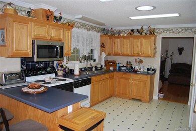 100 Hampton Rd, Leicester, NC 28748 - photo 5