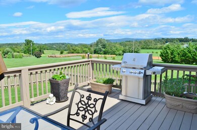 2058 Mount Olive Rd, Toms Brook, VA 22660 - photo 2