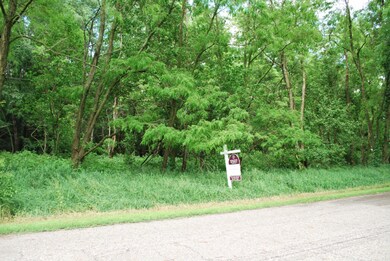 21 Mill St, Marshall, MI 49068 - photo 2