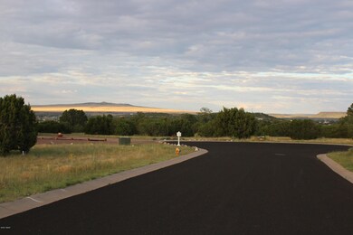 Elk Crest Lot 12 (6)