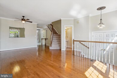 3618 Ransom Place, Alexandria, VA 22306 - photo 6