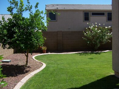 BEAUTIFUL LAWN