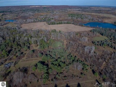 1217 Dam Rd, West Branch, MI 48661 - photo 3