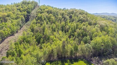 20250211184126797514000000-o