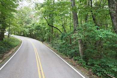 6-web-or-mls-DJI_0394