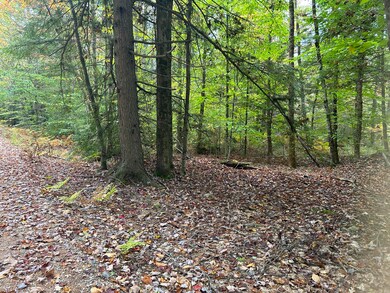 tbd Flat Ground, Acton, ME 04001 - photo 2