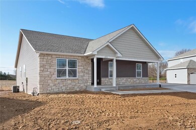1013 Torrey Ln, Freeburg, IL 62243 - photo 3