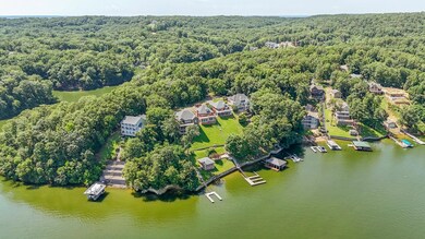 Bird's eye view of a forest and a large body of water
