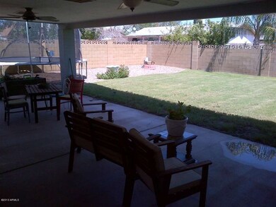Backyard 2