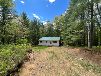 1951 W Lake Shore Dr, Bitely, MI 49309 - photo 5