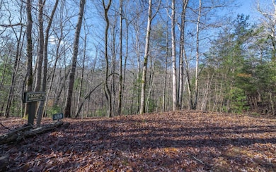 Additional View