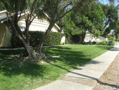 Side Yard