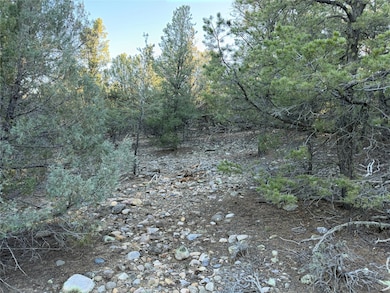 TBD Talavera Lot: 7-B2, Tierra Amarilla, NM 87575 - photo 2
